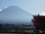 紅葉と富士山