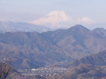 八重山から望む富士山