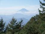 扇山から望む富士山